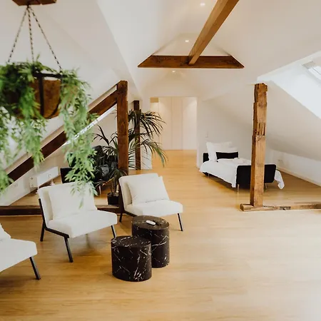 Staylight Penthouse In Der Suedstadt - Luxus Lägenhet *
