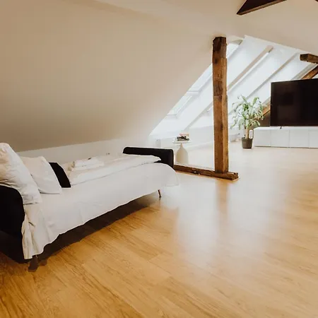Staylight Penthouse In Der Suedstadt - Luxus